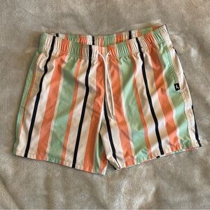 Hollister Multicolor Striped Swim Trunks